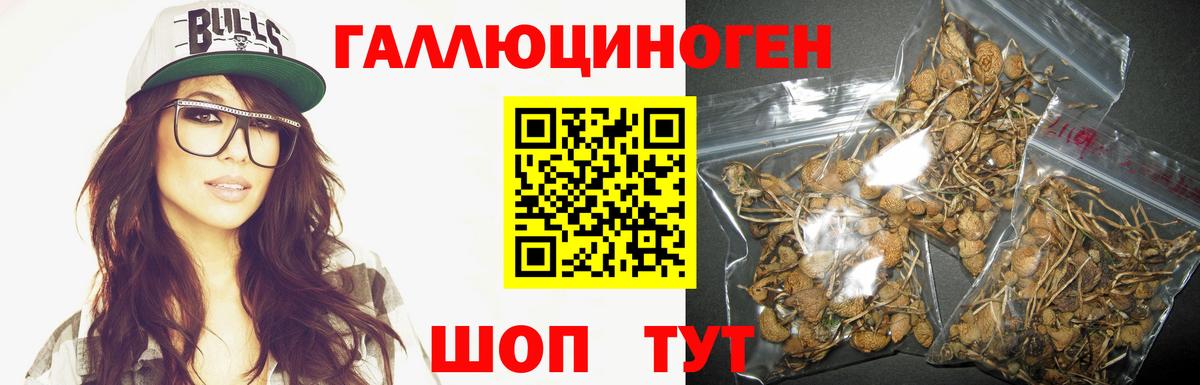 Димитровград  Галлюциногенные грибы мухоморы  Вход с VPN 